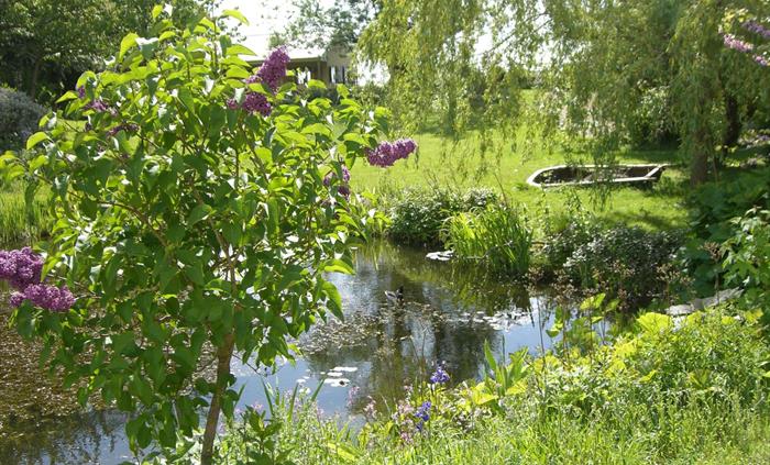 Gardens
